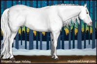 Horse Color:Silver Black Chinchilla Blanket 