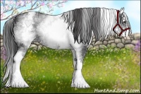 Horse Color:White Spotted Smoky Black Splash 