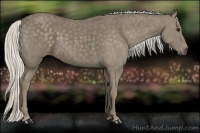 Horse Color:Silver Smoky Black 