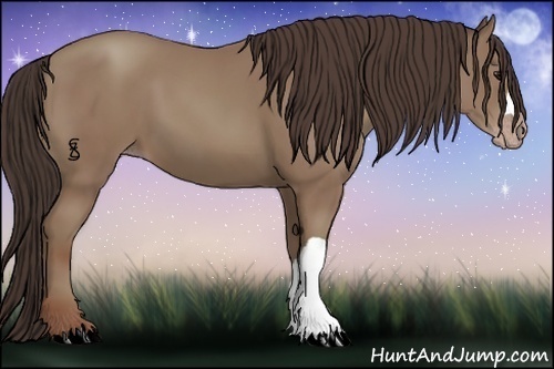 Horse Color:Classic Champagne 