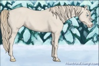 Horse Color:Smoky Creme 
