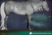 Horse Color:Silver Black Chinchilla  Brindle