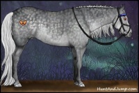Horse Color:Silver Black Chinchilla  Brindle