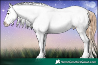 Horse Color:Blue Ice Roan Pearl Appaloosa 