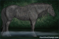 Horse Color:Black Brindle