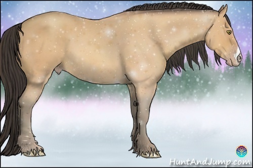 Horse Color:Amber Champagne 