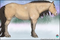 Horse Color:Amber Champagne