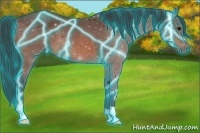 Horse Color:Thunderstruck Bay 