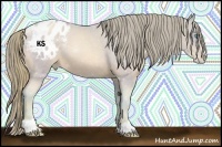 Horse Color:Watercolor Buckskin Pearl Sabino Blanket