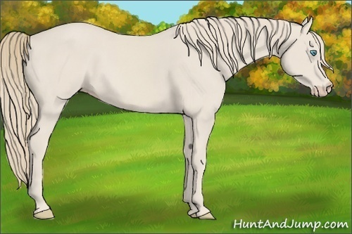Horse Color:Smoky Creme 