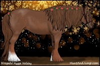 Horse Color:Chestnut Sabino