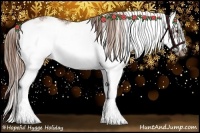 Horse Color:Chestnut Sabino Frame