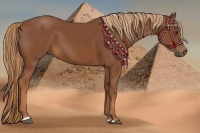Horse Color:Chestnut Sabino