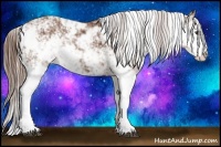Horse Color:Chestnut Sabino