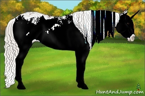 Horse Color:Silver Black Sabino Splash