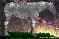 Horse Color:Black Ice