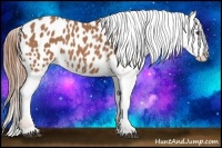 Horse Color:Chestnut Sabino Blanket 