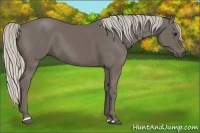 Horse Color:Silver Smoky Black Sabino 
