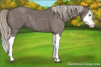 Horse Color:Silver Blue Roan Sabino Splash