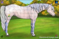 Horse Color:Watercolor Plaid Silver Buckskin Ice Sabino