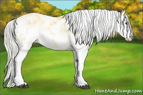 Horse Color:Silver Buckskin Dun Sabino 