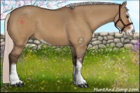 Horse Color:Silver Bay Dun Sabino 