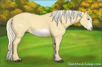 Horse Color:Palomino Dun Sabino Frame 