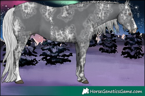 Horse Color:Silver Black Chinchilla Ice Sabino