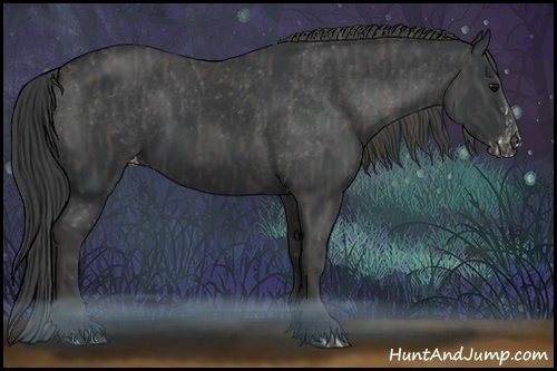 Horse Color:Black Sabino Splash Appaloosa Brindle