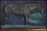 Horse Color:Black Sabino Splash Appaloosa Brindle