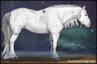 Horse Color:Black Sabino Splash Varnish  Brindle
