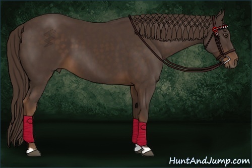 Horse Color:Liver Chestnut 