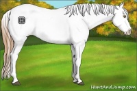 Horse Color:Chestnut Pearl Tobiano Snowflake Varnish Rabicano