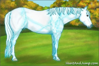 Horse Color:Gray Thunderstruck Red Dun Ice Splash