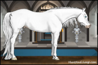 Horse Color:Gray Silver Perlino Dun Tobiano 