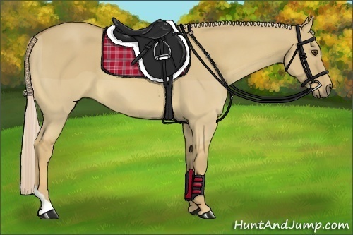 Horse Color:Palomino Dun Tobiano 