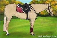 Horse Color:Palomino Dun Tobiano 