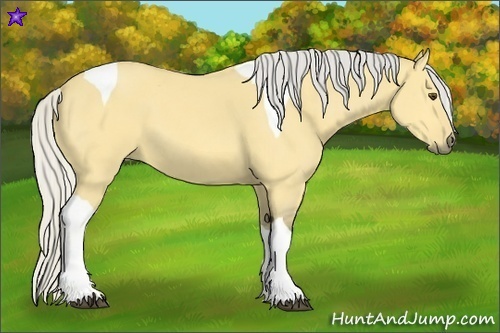 Horse Color:Silver Buckskin Dun Tobiano 