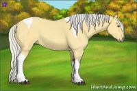Horse Color:Silver Buckskin Dun Tobiano 