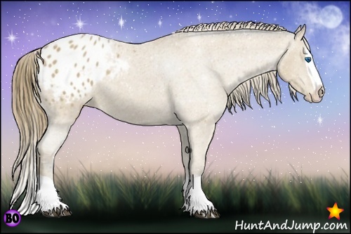 Horse Color:Buckskin Splash Varnish 