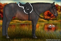 Horse Color:Brown Rabicano Brindle