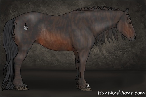 Horse Color:Brown Rabicano Brindle
