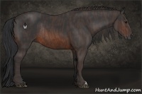 Horse Color:Brown Rabicano Brindle