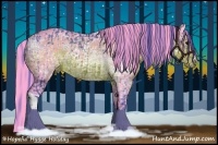 Horse Color:Watercolor Brown Ice Rabicano  and Watercolor Brown Ice Rabicano 