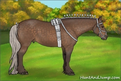 Horse Color:Silver Bay 