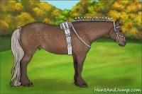 Horse Color:Silver Bay 