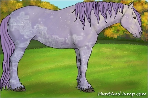 Horse Color:Watercolor Liver Chestnut Ice 