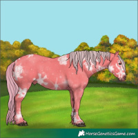 Horse Color:Watercolor Liver Chestnut Ice