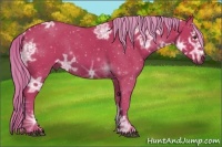 Horse Color:Watercolor Liver Chestnut Ice 