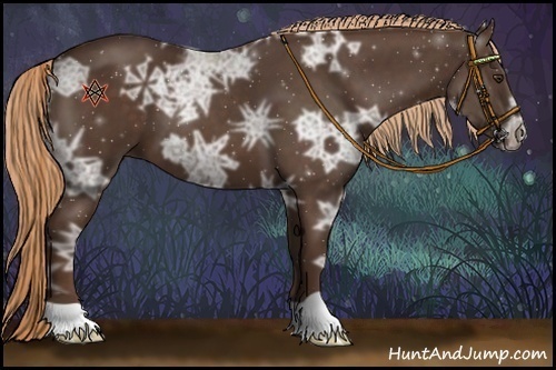 Horse Color:Liver Chestnut Ice